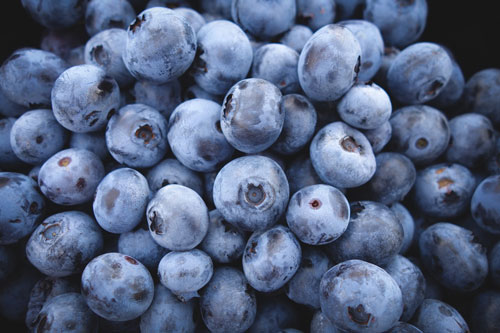 homegrown Maine blueberries